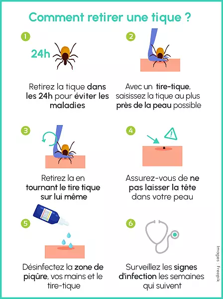 Illustration de 