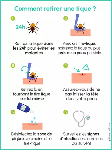 Illustration de 